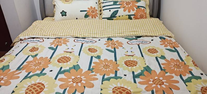 家羊民宿(成子湖路1号分店)图片