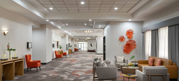 劳德代尔堡科勒尔斯普林斯万豪酒店-高尔夫俱乐部及会议中心(Fort Lauderdale Marriott Coral Springs Hotel & Convention Center)图片
