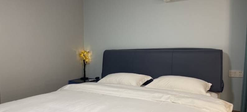 艾斯轻奢S公寓(发展路分店)图片