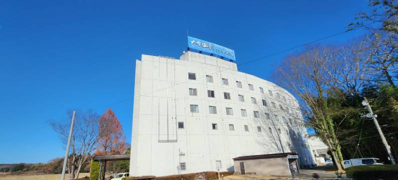 大金温泉旅店(Oganeonsen Grand Hotel)图片