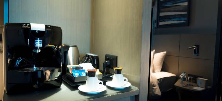 金奈沙米耶尔路诺富特酒店(Novotel Chennai Chamiers Road)图片