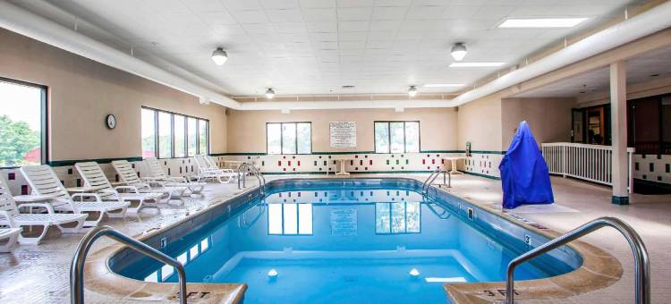 66 号公路附近舒适全套房酒店(Comfort Suites Near Route 66)图片
