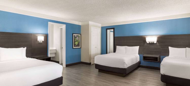 圣安东尼奥I-35北托亚弗韦恩拉昆塔温德姆酒店(La Quinta Inn by Wyndham San Antonio I-35 N at Toepperwein)图片