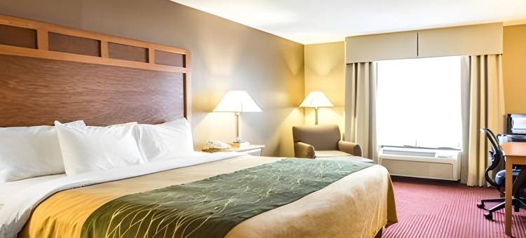 舒适酒店(Comfort Inn)图片