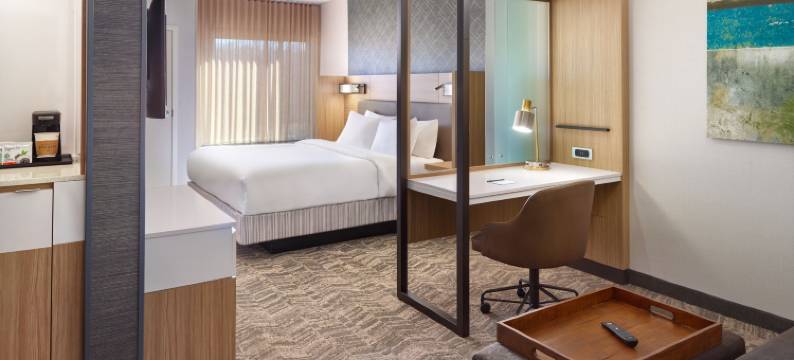 万豪春丘田纳西阿灵顿酒店(SpringHill Suites Arlington TN)图片