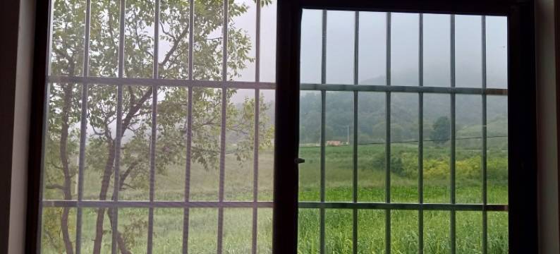 甘泉雨岔大峡谷王家大院客栈(雨甘路分店)图片