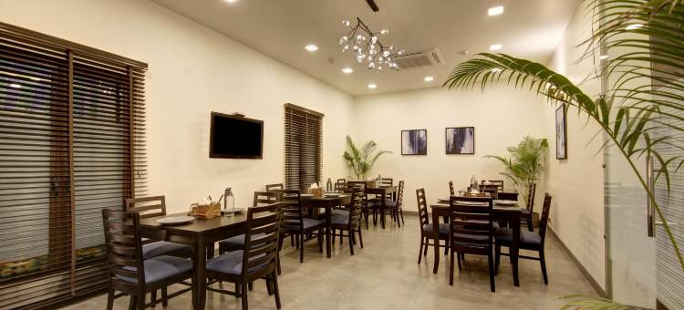 SALTSTAYZ SELECT - NEHRU PLACE & NEW FRIENDS COLONY图片
