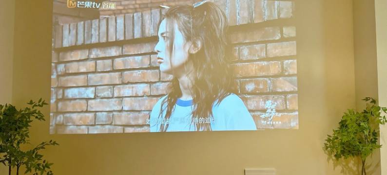 Michael313公寓(共康路分店)图片