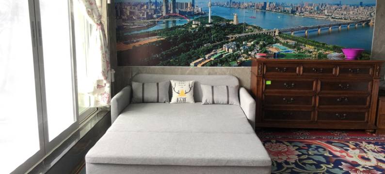 房东小笛蛙公寓(吉庆街分店)图片