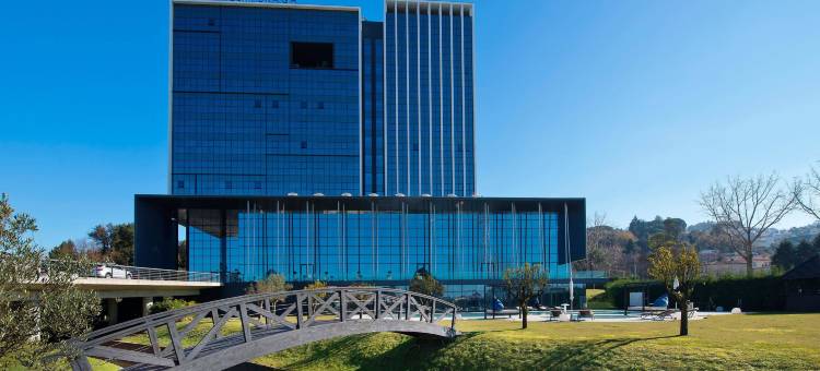 布拉加美利亚酒店(Meliá Braga)图片