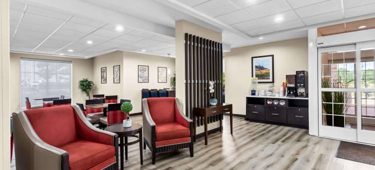 舒适套房酒店(Comfort Inn & Suites)图片