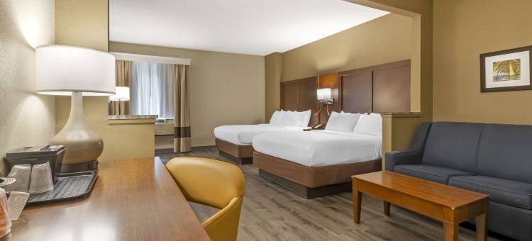 舒适套房酒店-大学(Comfort Suites at the University)图片