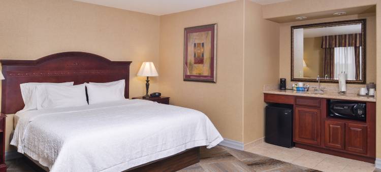 希尔顿欢朋套房酒店-博伊西梅里丹(Hampton Inn & Suites Boise-Meridian)图片