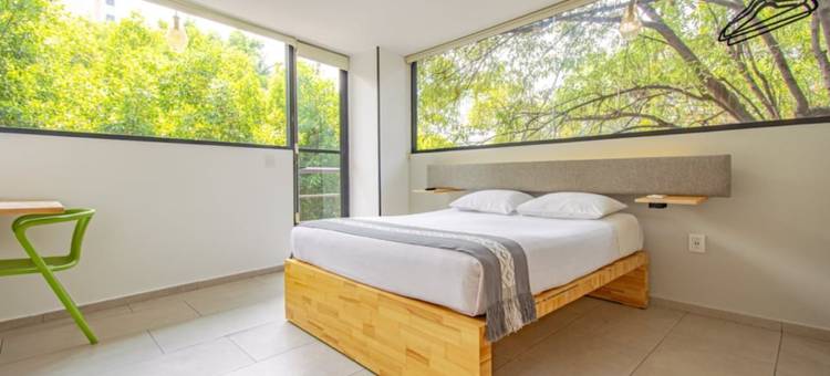 Capital O 特拉萨158酒店(Capital O Hotel Terraza 158)图片