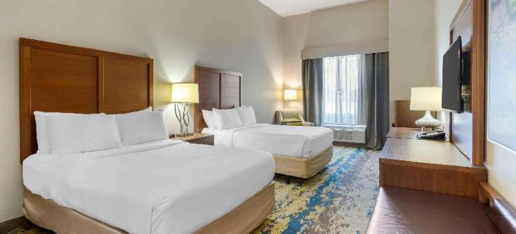 舒适套房酒店(Comfort Inn & Suites Valdosta)图片
