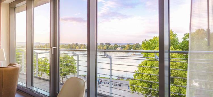 美因茨凯悦酒店(Hyatt Regency Mainz)图片