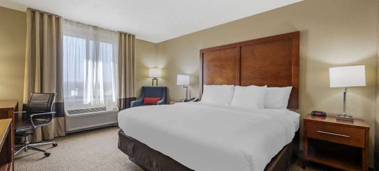 夏延舒适酒店(Comfort Inn & Suites)图片