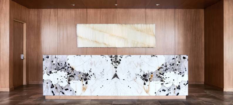 盐湖城市区AC酒店(AC Hotel Salt Lake City Downtown)图片