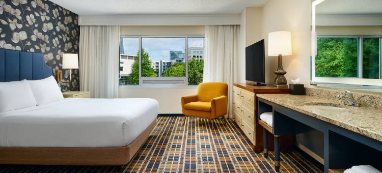 亚特兰大巴克海德希尔顿安泊酒店(Embassy Suites by Hilton Atlanta Buckhead)图片