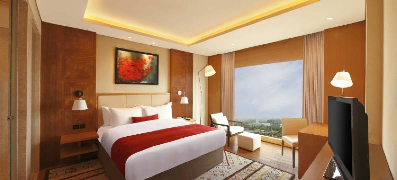 浦那金格希尔顿逸林酒店(DoubleTree by Hilton Pune - Chinchwad)图片