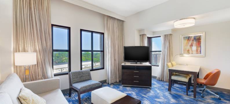 亚历山德里亚旧城希尔顿安泊酒店(Embassy Suites by Hilton Alexandria Old Town)图片