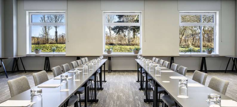 丽柏酒店维尔纽斯机场会议中心(Park Inn by Radisson Vilnius Airport)图片