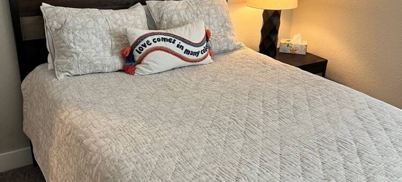 Experience the Best of Downtown St. Pete!图片