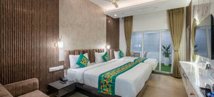 翡翠鸽(Treebo Premium Emerald Dove)图片