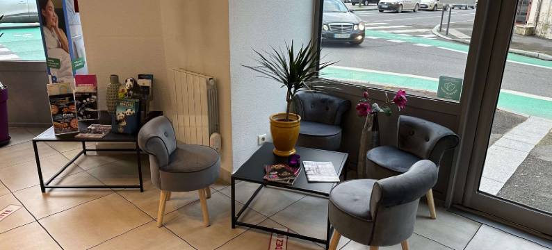 BRIT HOTEL CONFORT 内韦尔市中心火车站(Brit Hotel Confort Nevers Centre Gare)图片