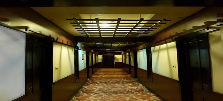 克里希纳大陆酒店(Hotel Krishna Continental)图片