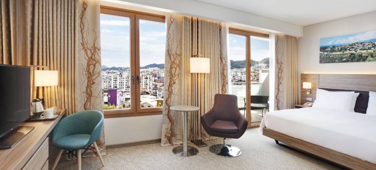 阿尔巴尼亚地拉那希尔顿花园酒店(Hilton Garden Inn Tirana)图片