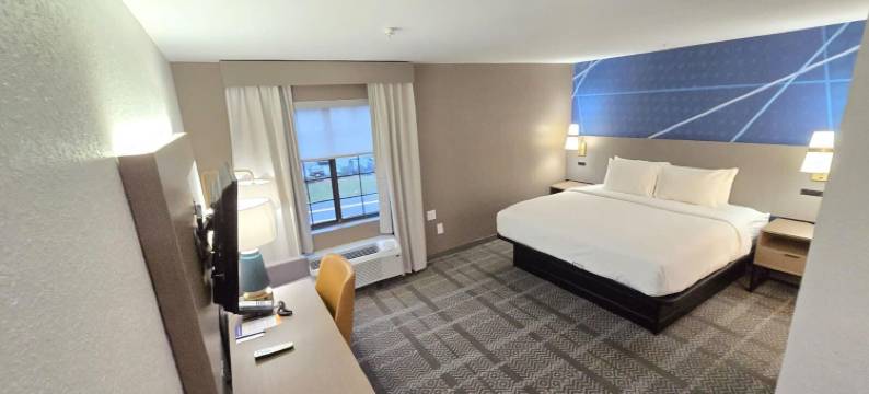 舒适酒店及套房(Comfort Inn & Suites)图片