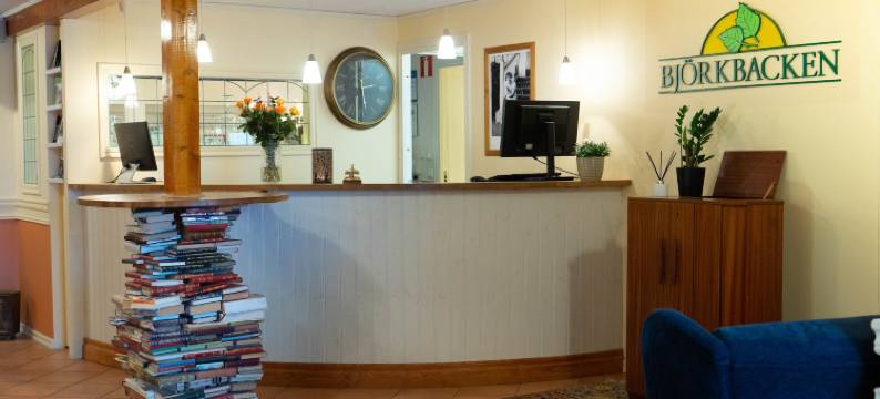 约克巴克恩卡拉塔斯好特尔酒店(Björkbackens Karaktärshotell)图片