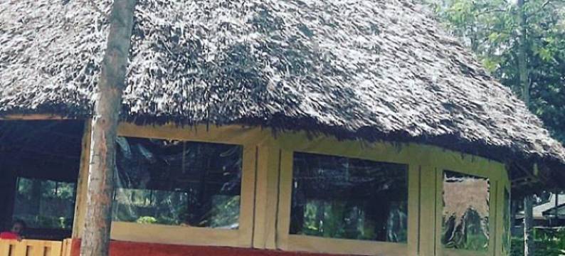 Angiri营地 - 露营地(Angiri Camp - Campsite)图片