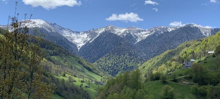 Amalaurille的房子(La Maison d'Amalaurille)图片