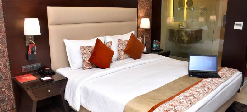 苏拉特洛兹广场酒店、(Lords Plaza Surat)图片