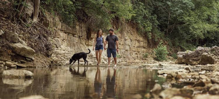 奥扎克尔旅馆(The Ozarker Lodge)图片