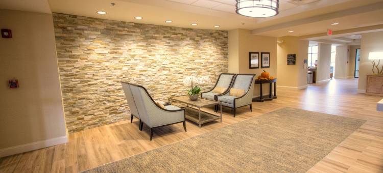 希尔顿欢朋套房酒店-布拉塞尔顿(Hampton Inn & Suites Braselton)图片