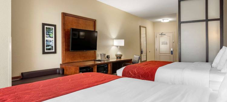佛伦伦萨I-95舒适套房酒店(Comfort Suites Florence I-95)图片
