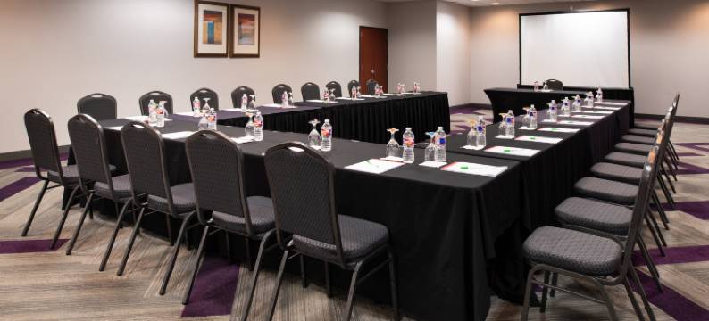 博蒙特广场I-10-瓦尔登假日套房酒店(Holiday Inn & Suites BEAUMONT-PLAZA (I-10 & WALDEN) by IHG)图片