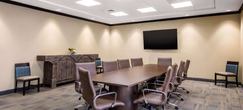 舒适套房酒店(Comfort Suites)图片