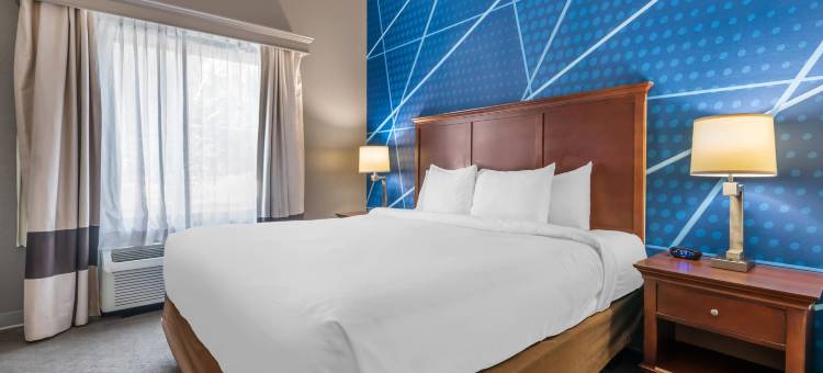 北奥卡拉舒适套房酒店(Comfort Suites Ocala North)图片