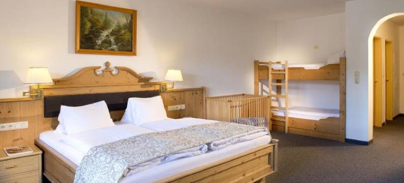 威尔森伊戈酒店(Hotel Wiesenegg)图片