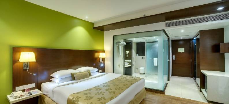 浦那瑞米格兰德spa酒店(Ramee Grand Hotel and Spa, Pune)图片