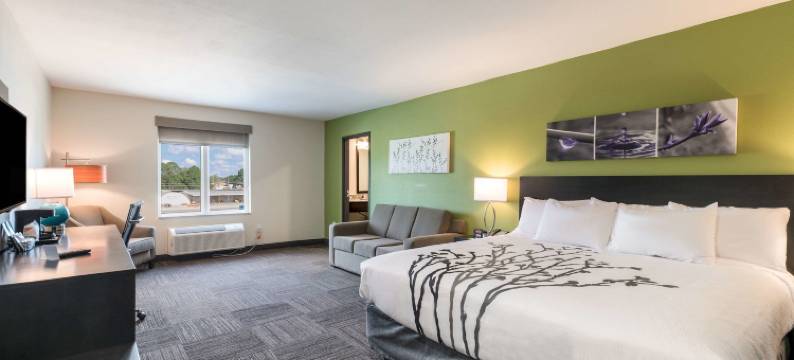 巴克斯利舒眠酒店(Sleep Inn)图片