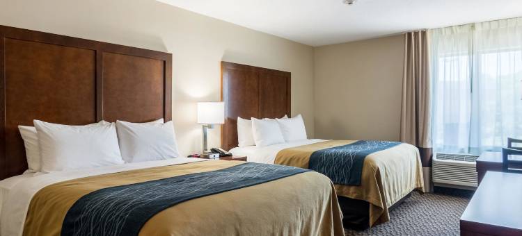爱德华兹维尔圣路易斯舒适酒店(Comfort Inn Edwardsville - St Louis)图片
