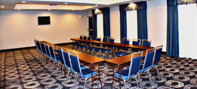 博纳姆洲际智选假日套房酒店(Holiday Inn Express & Suites BONHAM by IHG)图片