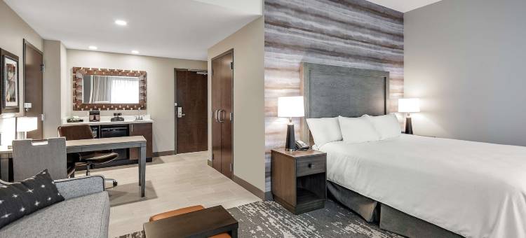 琼斯伯勒红太狼希尔顿大使套房酒店及会议中心(Embassy Suites Jonesboro Red Wolf Convention Center)图片