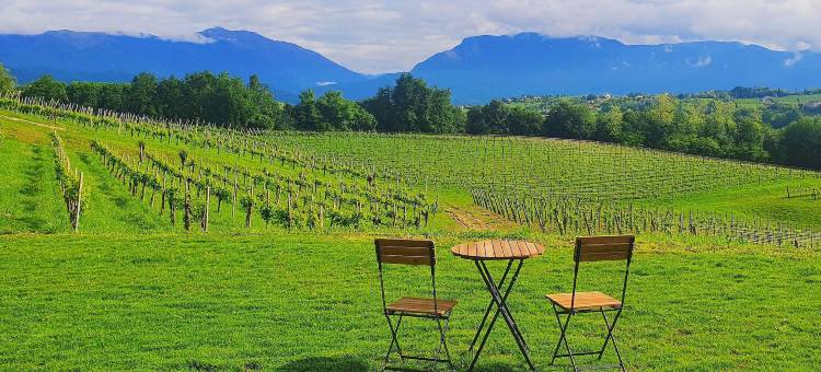 曼尼萨格庄园(Tenuta Mani Sagge)图片