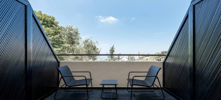 卡梅尔之家酒店(Domus Carmel Hotel)图片